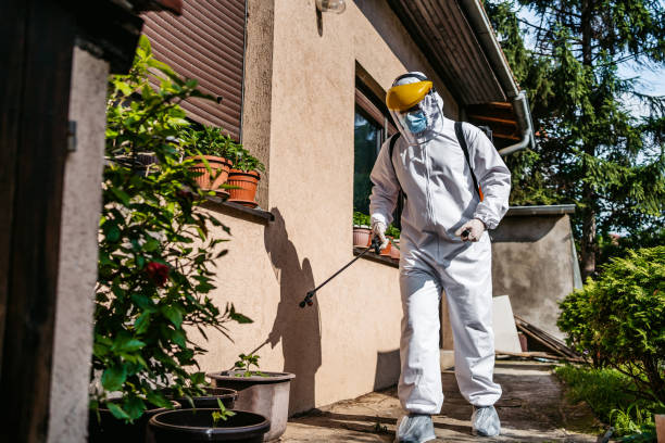 Best Pest Control for Restaurants  in Blacklick Estates, OH