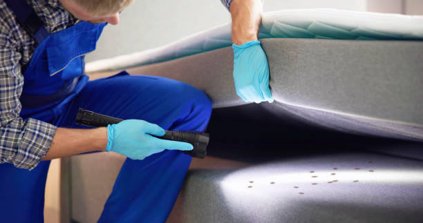 Best Commercial Pest Control Services  in Blacklick Estates, OH