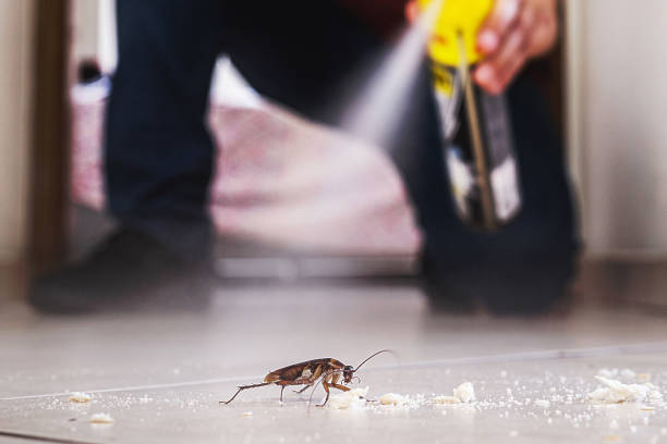 Best Insect Control  in Blacklick Estates, OH